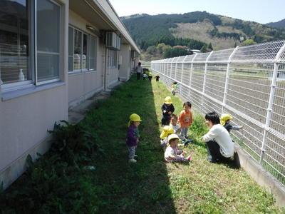 建物と柵の間にタンポポが咲き乱れている。先生の周りに子どもが10人ほど集まっている様子