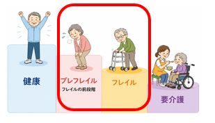 フレイルとは