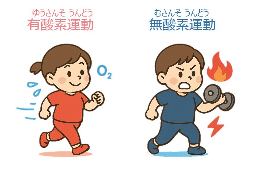 有酸素運動と無酸素運動