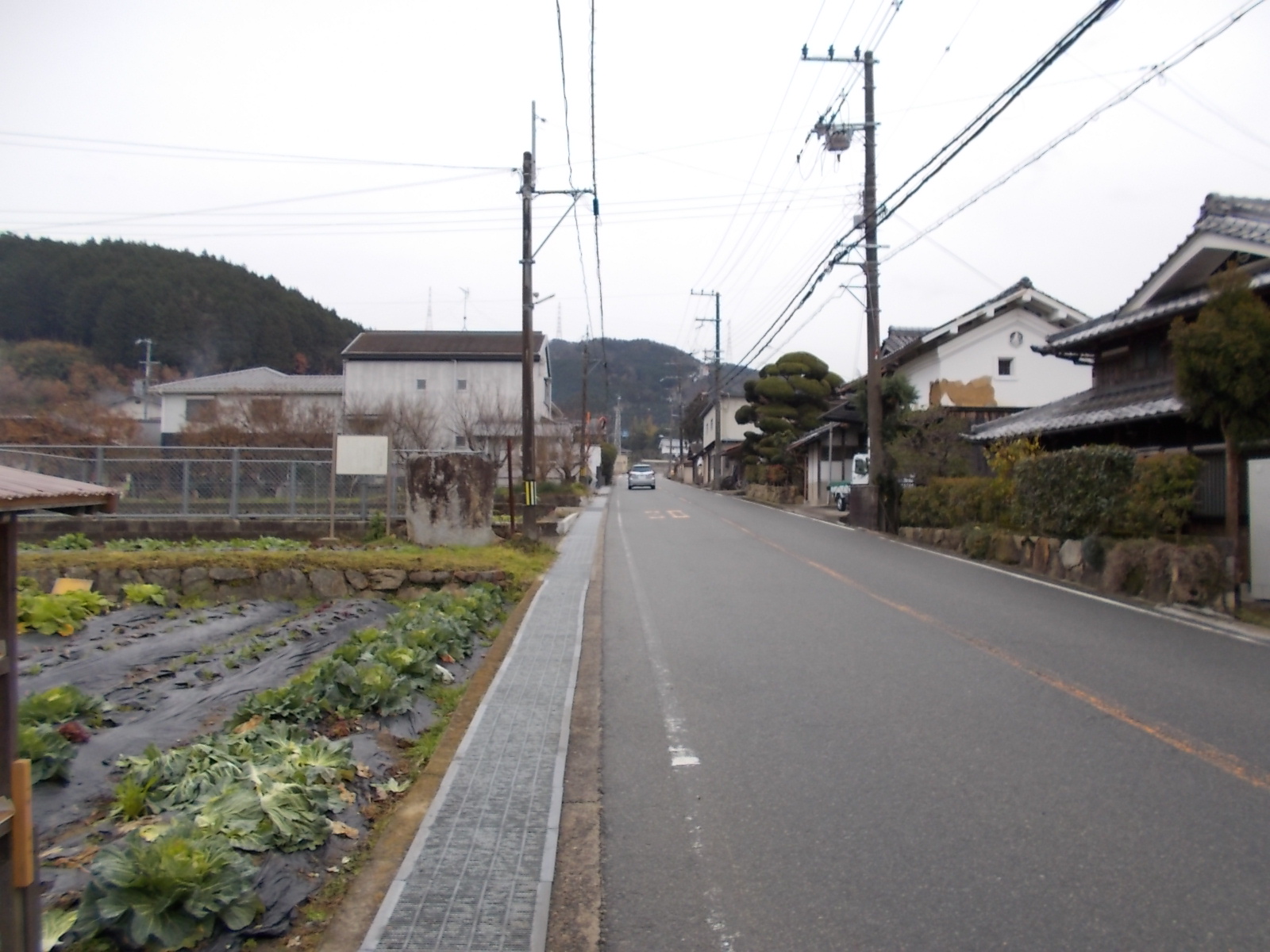 野間中の地蔵一尊種子板碑