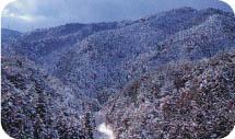 美しく雪化粧を纏う雪山の写真