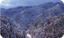 美しく雪化粧を纏う雪山の写真