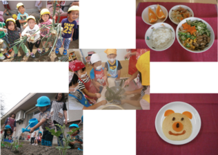 （左上・左下）菜園活動で畑で苗を植え水やりをする園児の様子（中）実際に調理をする園児の様子（右上・右下）月一回のお誕生日会の日の特別メニューの写真